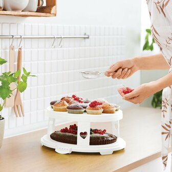 Rotho Fresh Taartdoos XL + Cupcake-Houders 35.5x34.5x26 cm Wit/Transparant