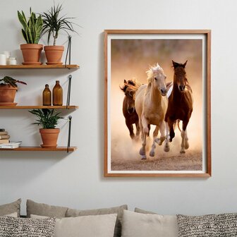 Clementoni High Quality Collection Puzzel Paarden 1000 Stukjes