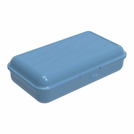 Rotho Fun Lunchbox met Verdeelschotjes 1.7L Horizon Blauw